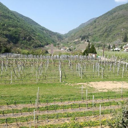Agriturismo Le Cavade Cembra Lisignago Exteriör bild